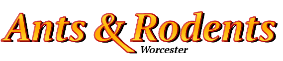 Worcester Ant Exterminator & Rodent Control Company Logo